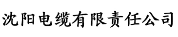 91香蕉视频啊啊电缆厂logo